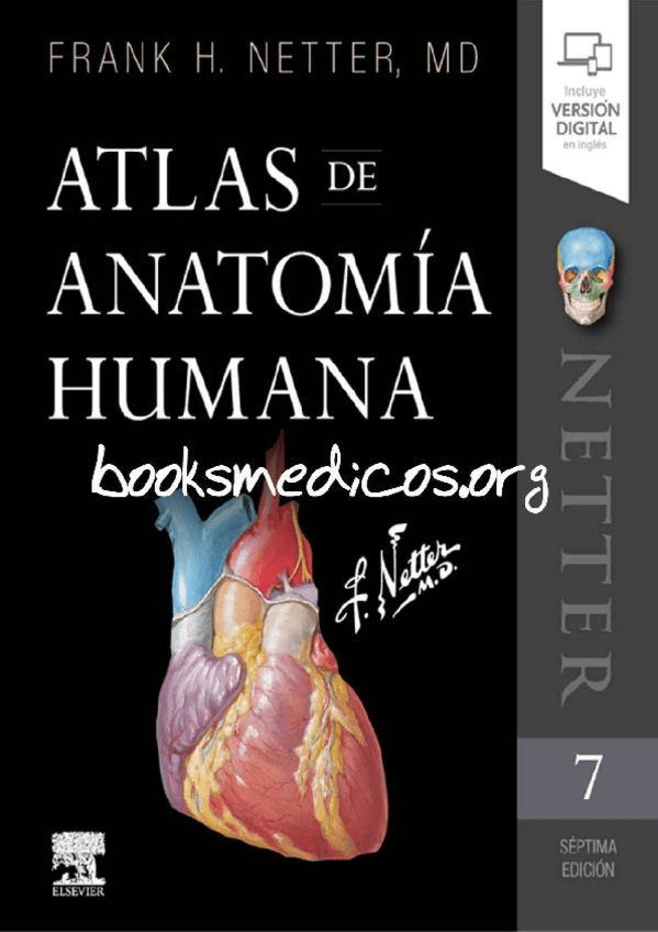 Miniatura del documento Netter-Atlas-de-Anatomia-Humana.pdf
