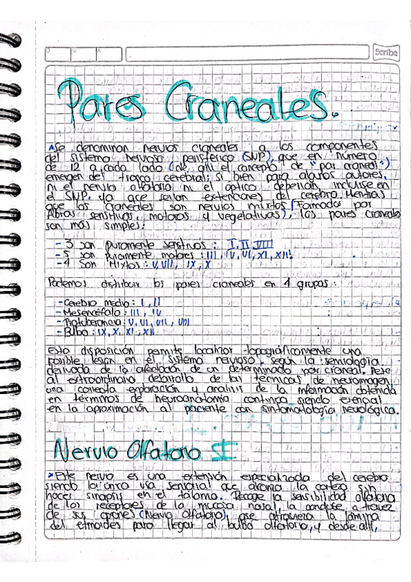 Miniatura del documento Pares-Craneales.pdf