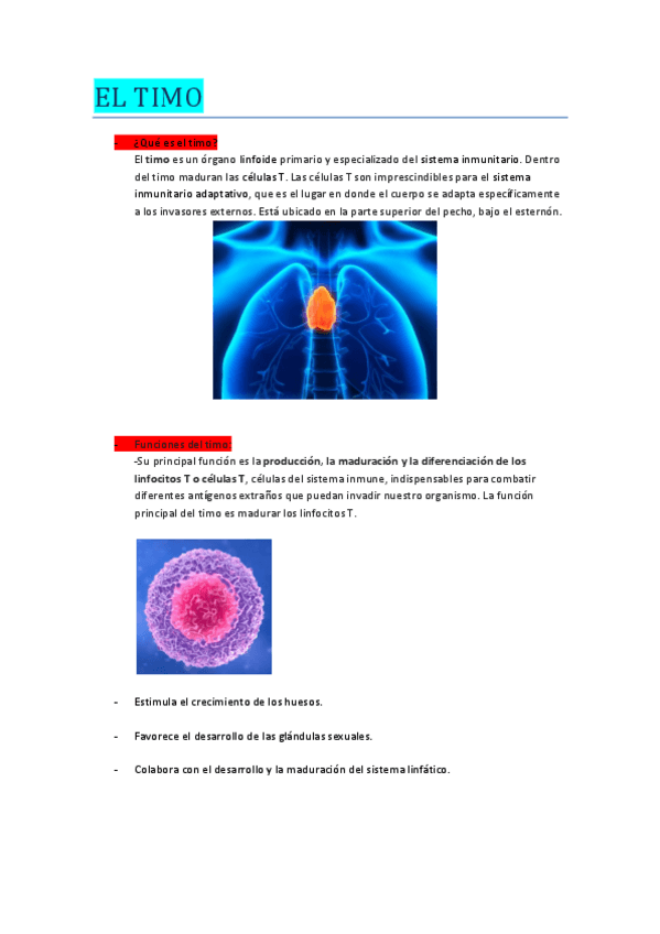 Miniatura del documento EL-TIMO.pdf