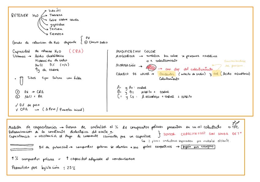 Miniatura del documento Resumen-dia-2-practicas.pdf