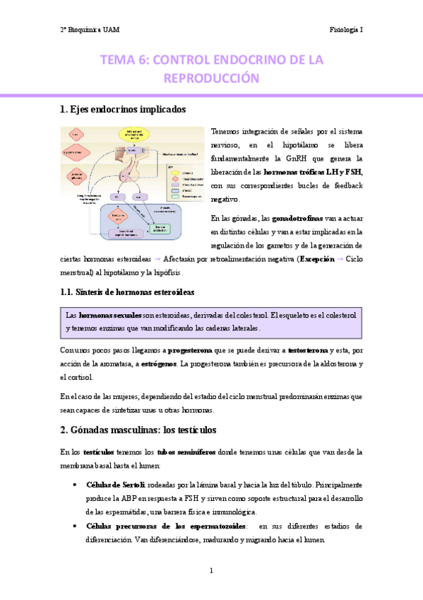 Miniatura del documento TEMA-6.-Control-endocrino-de-la-reproduccion..pdf