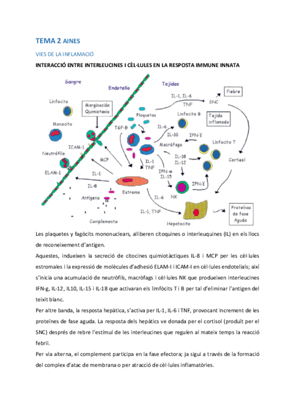 Miniatura del documento TEMA-2-AINES-FISIOPATO-2.pdf
