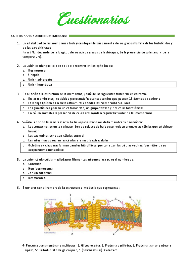 Miniatura del documento Cuestionarios-todos.pdf