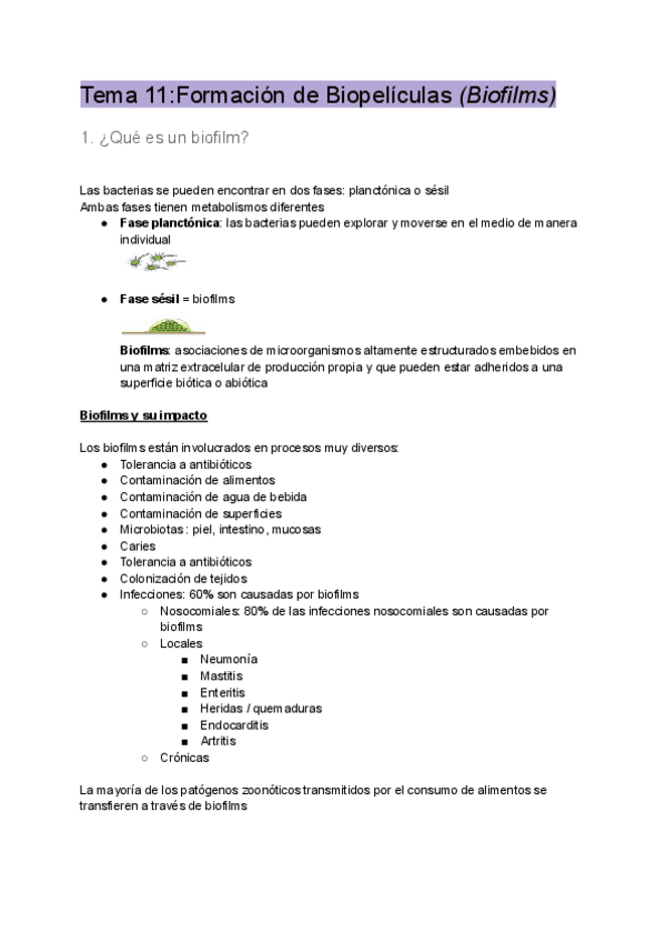 Miniatura del documento T11-Biofilms.pdf