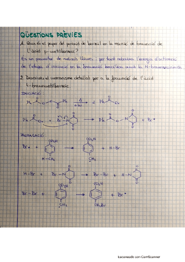 Miniatura del documento previes-practica-2.pdf
