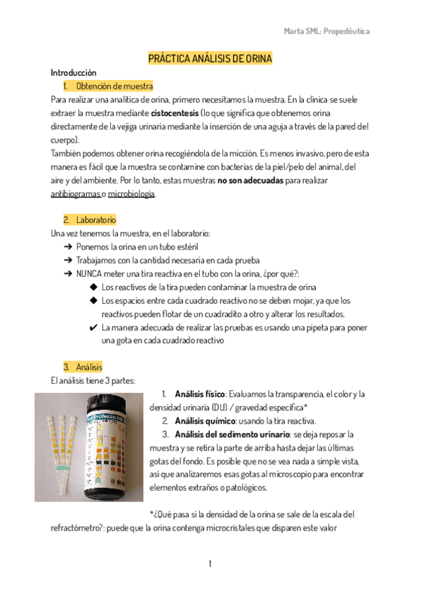 Miniatura del documento Practica-analisis-de-Orina.pdf