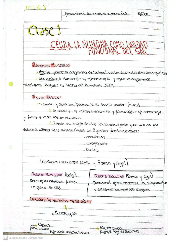 Miniatura del documento Apunte-neuro-todo-el-ano-1-46.pdf