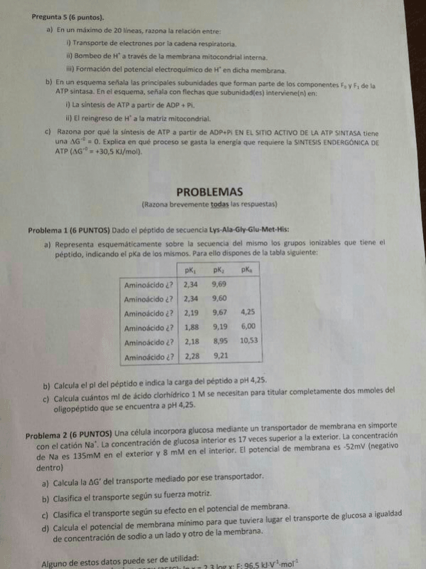 Miniatura del documento IMG-20150409-WA0004.jpg