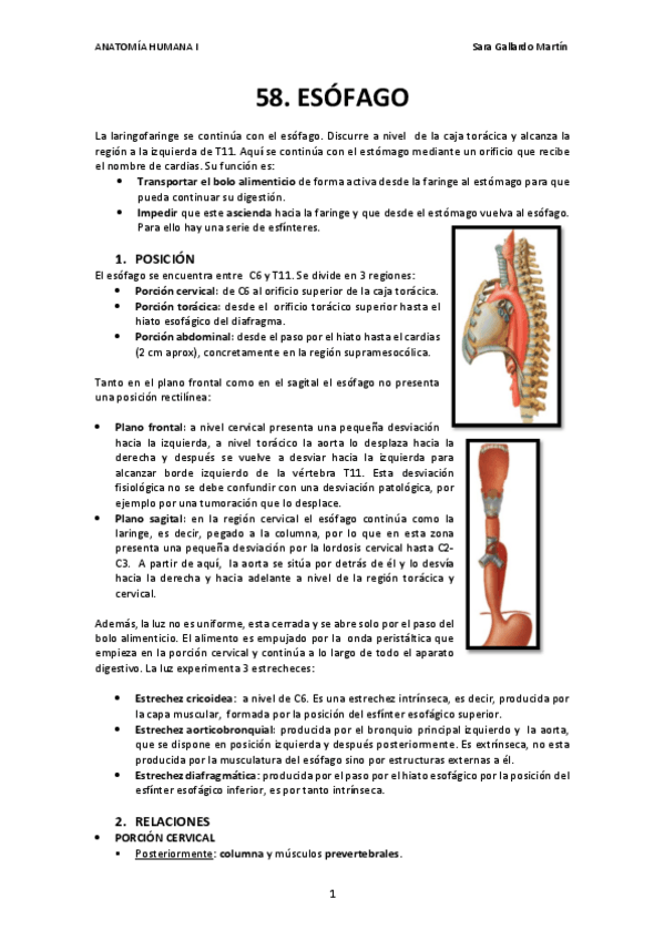 Miniatura del documento 58. ESÓFAGO.pdf