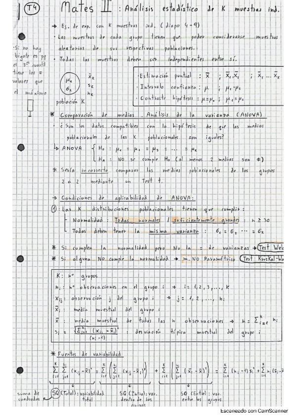 Miniatura del documento Mates-II-TEMA-4.pdf