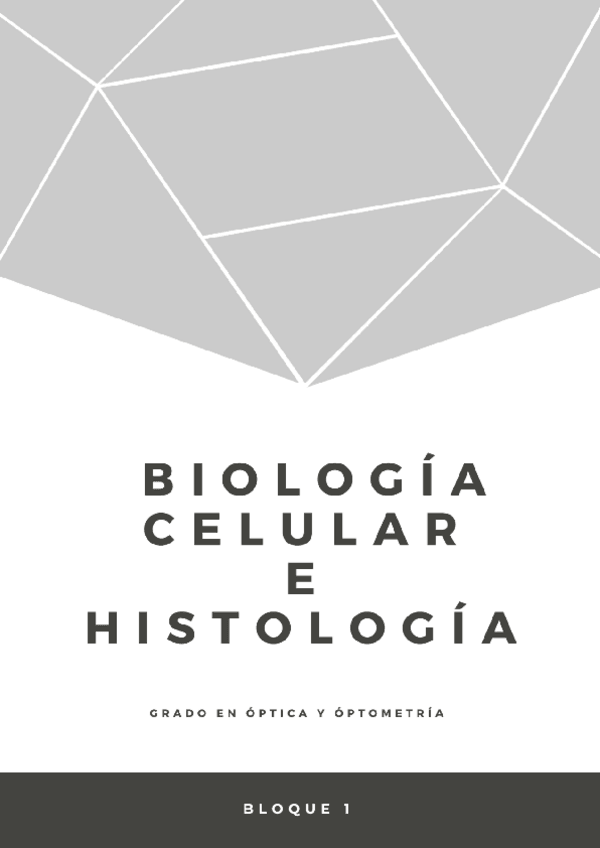 Miniatura del documento TEMA-1-6.pdf