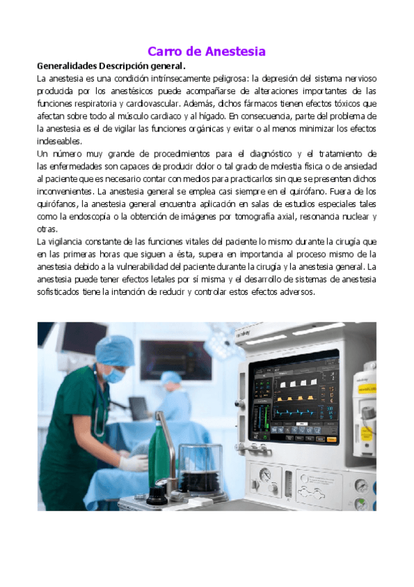 Miniatura del documento Carro-de.pdf