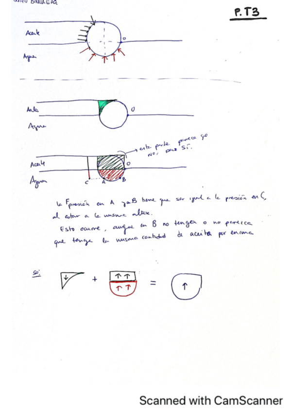 Miniatura del documento EjerciciosT3FluidosSbl.pdf