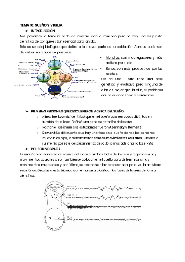 Miniatura del documento Tema-10-fisio.pdf