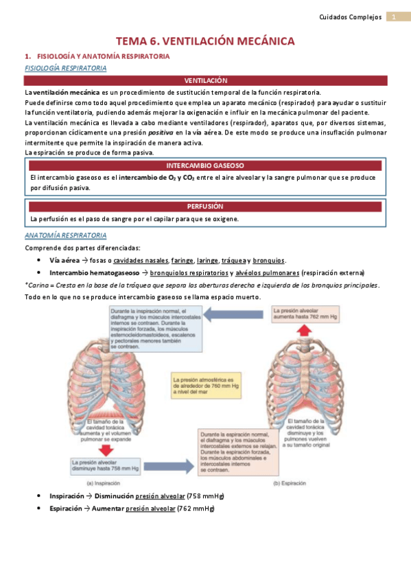 Miniatura del documento TEMA-8-Ventilacion-Mecanica.pdf