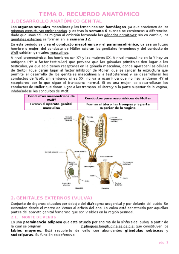 Miniatura del documento TEMA-0.-Recuerdo-anatomico.docx