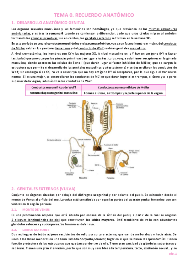 Miniatura del documento TEMA-0.-Recuerdo-anatomico.pdf