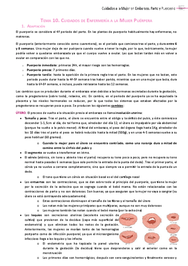 Miniatura del documento TEMA-10.-Cuidados-de-Enfermeria-a-la-Mujer-Puerpera.pdf
