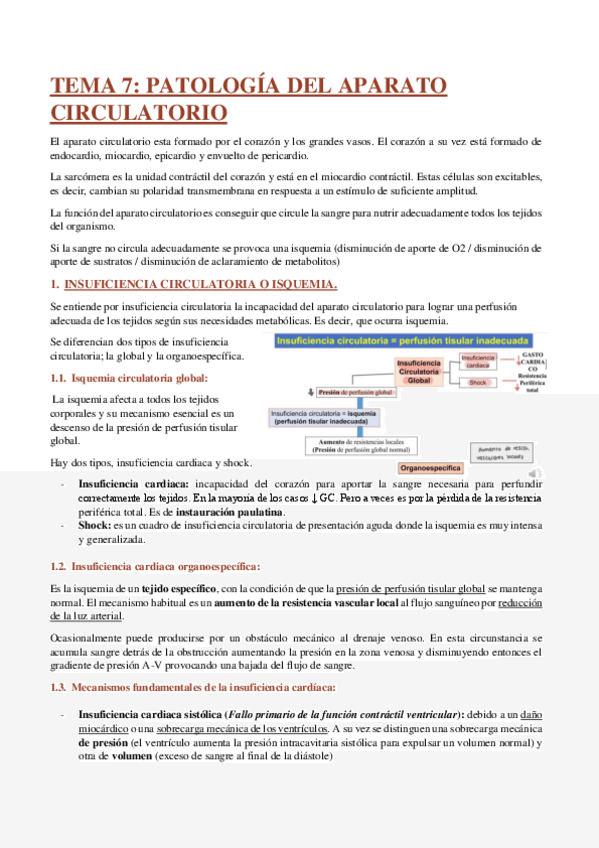 Miniatura del documento TEMA-7-PATOLOGIA-DEL-APARATO-CIRCULATORIO.pdf