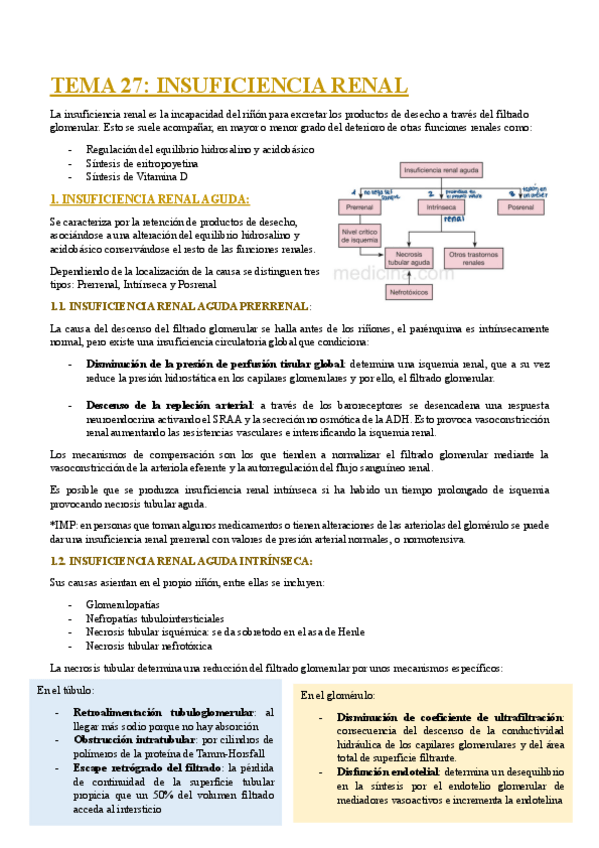 Miniatura del documento TEMA-27-INSUFICIENCIA-RENAL.pdf