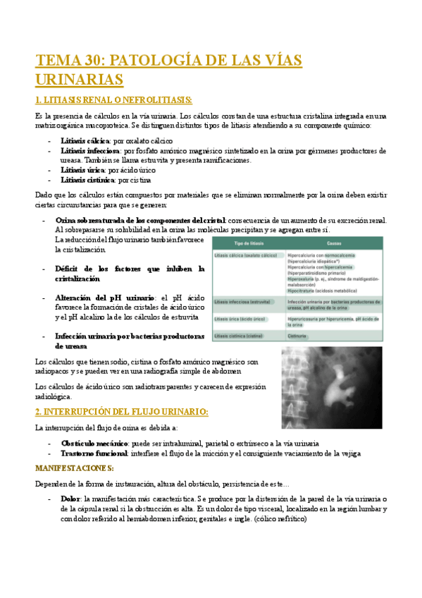 Miniatura del documento TEMA-30-PATOLOGIA-DE-LAS-VIAS-URINARIAS.pdf