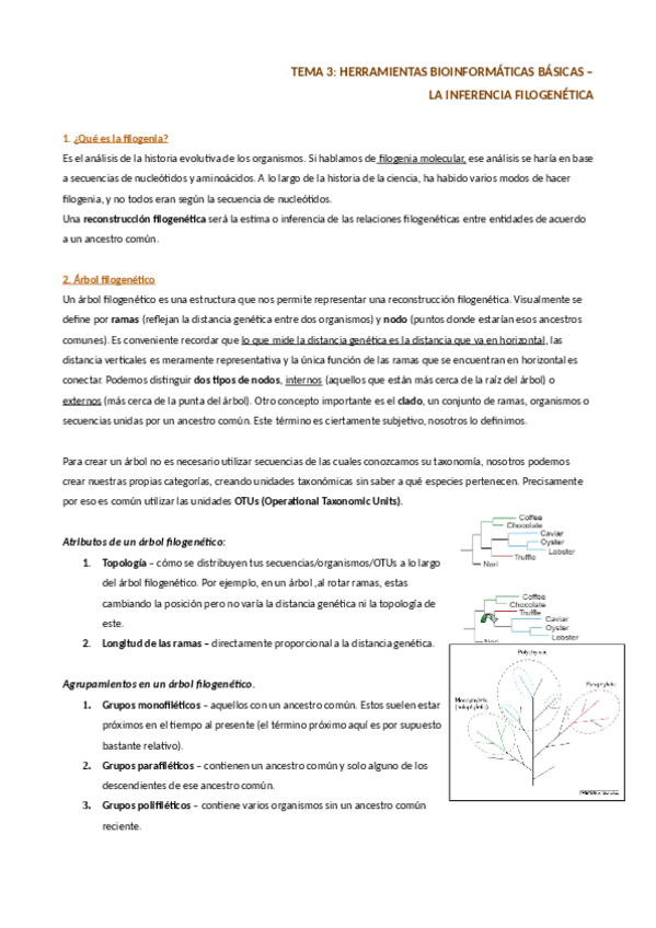 Miniatura del documento tema-3-filogenia.pdf