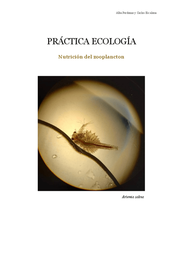 Miniatura del documento Practica-Ecologia-Nutricion-zooplancton.docx.pdf