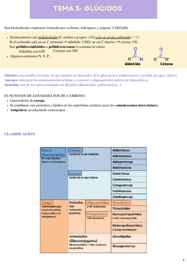 Miniatura del documento Tema-3-Glúcidos-Biomoléculas orgánicas-2ªBach.pdf