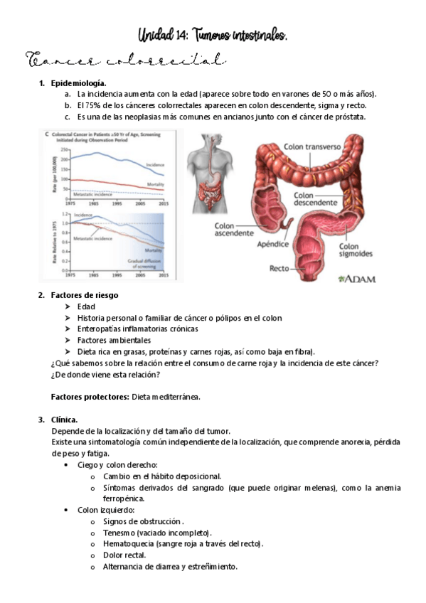 Miniatura del documento QUIRURGICA-Unidad-14.pdf
