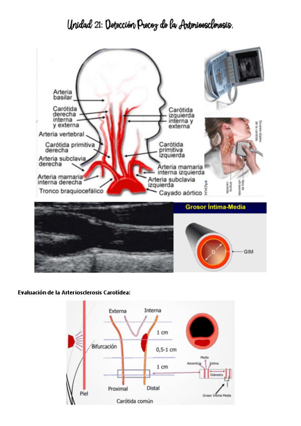 Miniatura del documento QUIRURGICA-Unidad-21.pdf