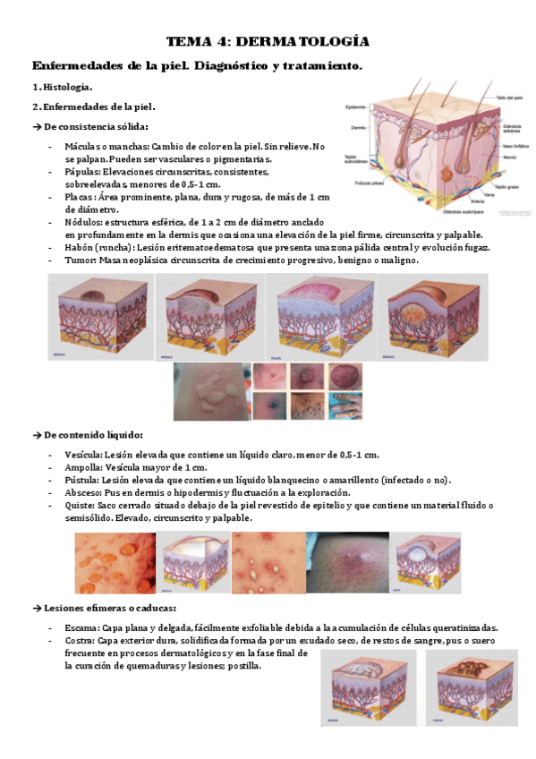 Miniatura del documento CLINICA-3-TEMA-4-DERMATOLOGIA.pdf