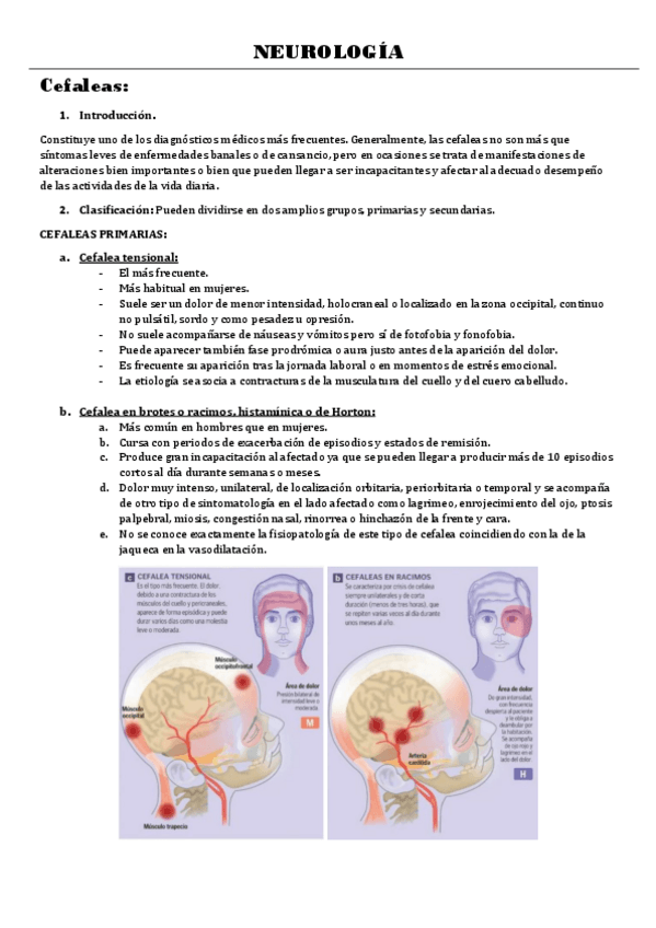 Miniatura del documento CLINICA3-TEMA-2-NEUROLOGIA.pdf