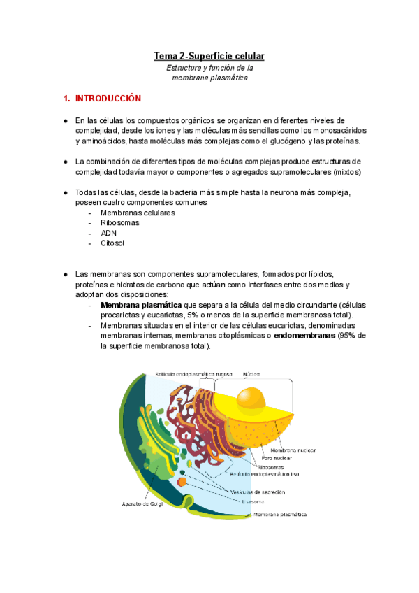 Miniatura del documento T2-Superficie-celular.pdf
