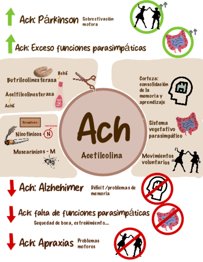 Miniatura del documento Esquemas-neurotransmisores.pdf