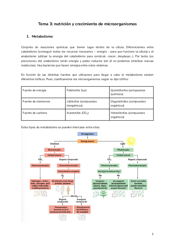 Miniatura del documento Tema-3-nutricion-y-crecimiento-de-microorganismos.pdf