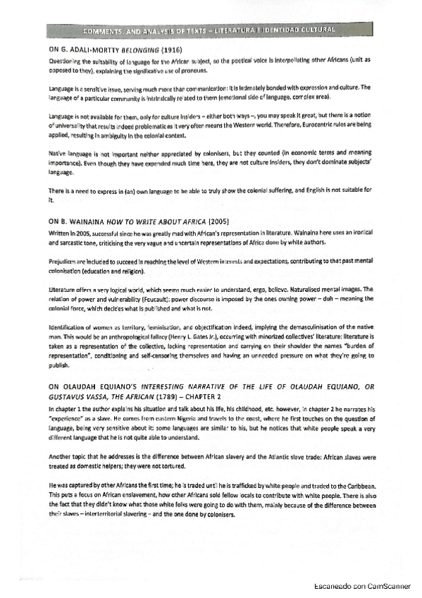 Miniatura del documento Literatura-e-identidad-cultural-COMENTARIOS-Y-ANALISIS.pdf