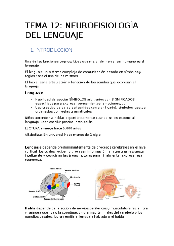 Miniatura del documento TEMA-12.docx