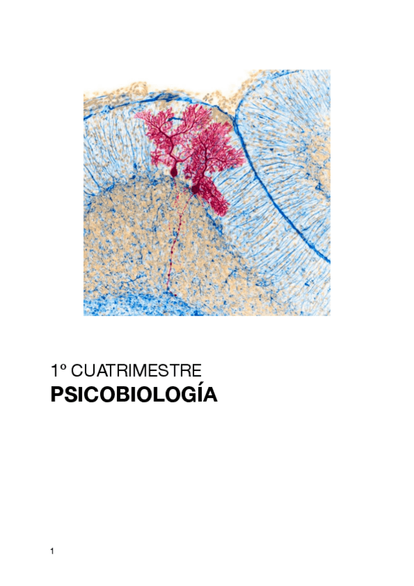 Miniatura del documento Psicobiologia (dos primeros temas).pdf