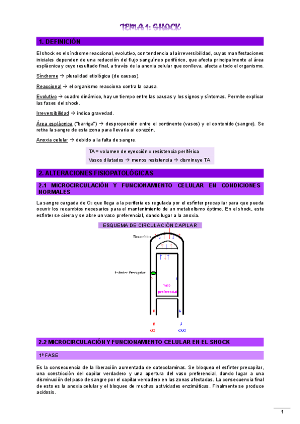 Miniatura del documento SHOCK.pdf