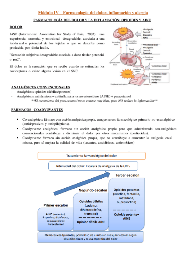 Miniatura del documento Modulo-IV-Parte-1.pdf