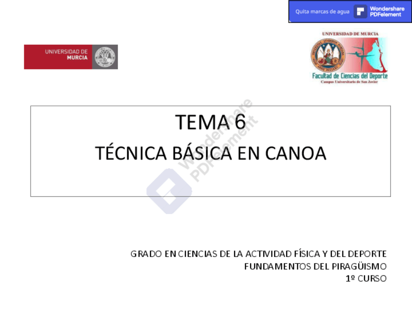 Miniatura del documento TEMA-6.-Tecnica-basica-en-Canoa..pdf