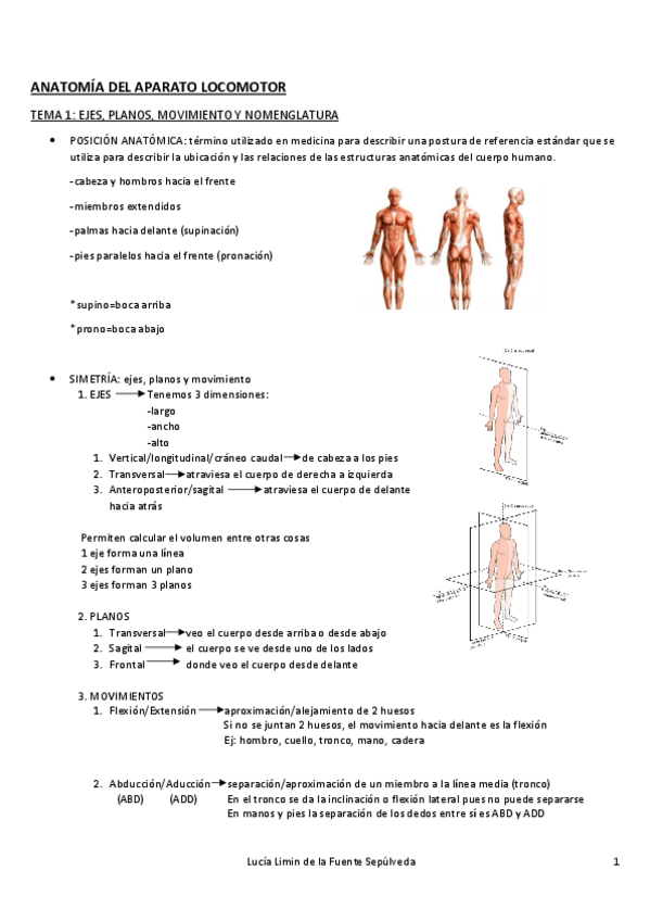 Miniatura del documento Tema-1-Ejes-planos-movimiento-nomenclatura.pdf