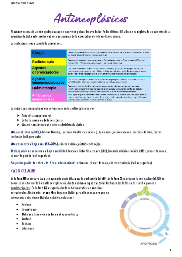 Miniatura del documento Antineoplasicos.pdf