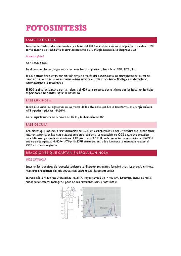 Miniatura del documento APUNTES Tema 4 FOTOSINTESIS.pdf