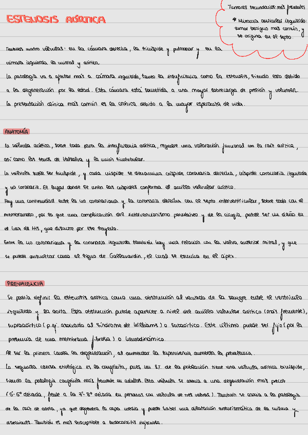 Miniatura del documento Estenosis-aortica.pdf