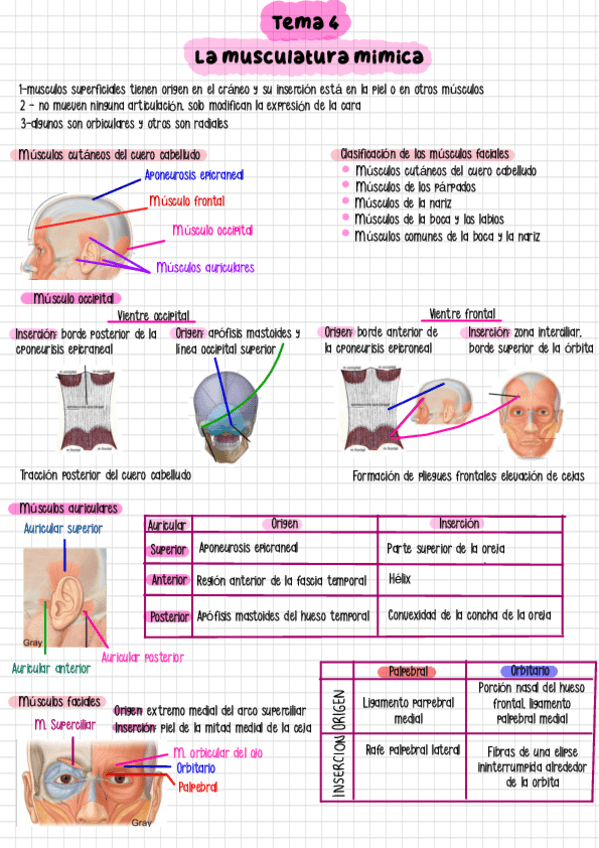 Miniatura del documento Tema-4.pdf