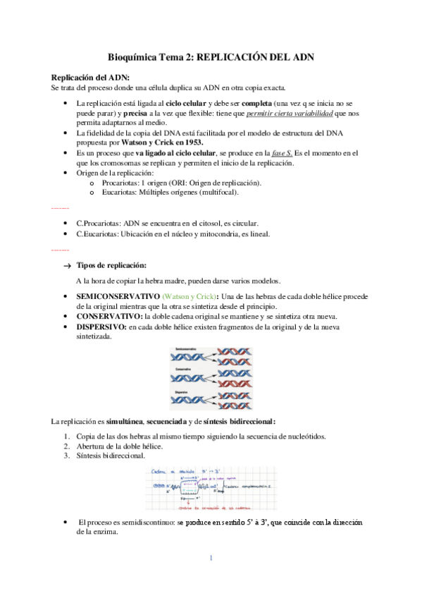 Miniatura del documento Bioquimica-Tema-2-Replicacion-del-ADN.pdf