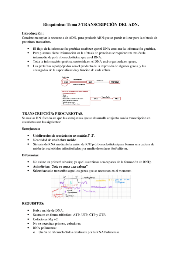 Miniatura del documento Bioquimica-Tema-3-TRANSCRIPCION-DEL-ADN.pdf