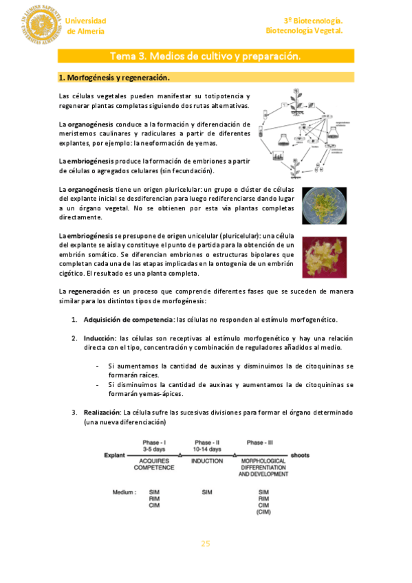Miniatura del documento Tema-3.pdf