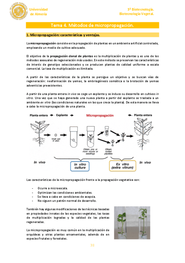 Miniatura del documento Tema-4.pdf